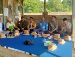 Babinsa dan Petani Bersinergi Wujudkan Swasembada Pangan di Tabalong