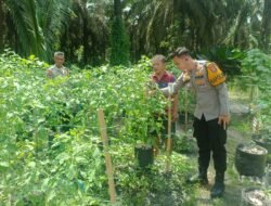 Polsek Hanau Cek Pekarangan Pangan Bergizi Warga untuk Dukung Ketahanan Pangan