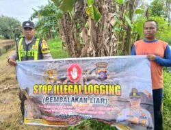 SOSIALISASI PENEBANGAN HUTAN SECARA LIAR (ILEGAL LOGING) OLEH PERSONIL POLSEK PULAU PETAK
