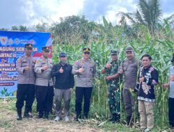 Panen Raya Jagung Serentak Kuartal II dan Launching SPPG Polri Digelar di Kabupaten Sukamara