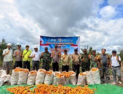 Polsek Hanau Ikuti Panen Raya Jagung Serentak Kuartal II Dukung Ketahanan Pangan Nasional