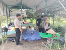 Bhabinkamtibmas Desa Natai Sedawak Cek Pembuatan Pupuk Kompos Limbah Jagung