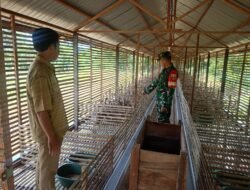 Babinsa Koramil LAU Dampingi Usaha Peternakan Itik Petelur untuk Tingkatkan Kesejahteraan Warga