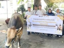 Holding Perkebunan Nusantara Tebar Manfaat Idul Adha, KPBN Salurkan Hewan Kurban untuk Masyarakat