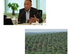 PTPN IV PalmCo Gandeng TNI-Polri Kawal Pengamanan Aset Negara dan Modernisasi Kebun Sawit Nasional