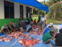 Holding Perkebunan Nusantara Salurkan 150 Ton Daging Kurban, Karyawan PalmCo Antar Langsung hingga Pelosok Desa
