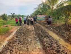 Dukung Ketahanan Pangan Wilayah, Babinsa Salatiga Tanam Jagung Bersama Polri