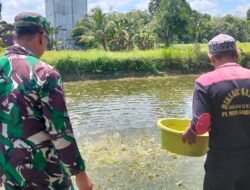 Babinsa Hadir untuk Rakyat, Dampingi Peternak Ikan Patin Kembangkan Usaha Perikanan