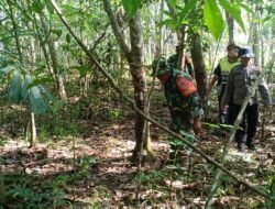 Babinsa Kambat Utara Bersama Relawan Bergerak Cegah Karhutla Sejak Dini