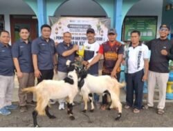 Holding Perkebunan Nusantara Salurkan 101 Hewan Kurban melalui PTPN I Regional 5 untuk Masyarakat Jawa Timur