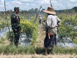 Wujud Dukungan Ketahanan Pangan, Kopda Edy Purwanto Aktif Dampingi Warga Binaan