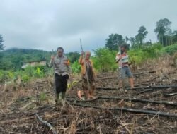 Dampingi Penanaman Jagung, Bhabinkamtibmas Tumbang Olong II Wujudkan Ketahanan Pangan Bersama Warga