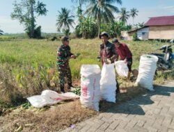 Babinsa Koramil 1002-04/Labuan Amas Selatan Bantu Petani Panen Mentimun, Wujud Nyata Pendampingan kepada Masyarakat