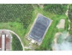 Holding Perkebunan Nusantara Tegaskan Komitmen Net Zero Emission Lewat Pemanfaatan Limbah PKS Sei Tapung