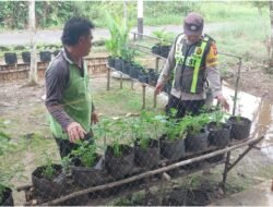 Dukung Swasembada, Polsek Kapuas Barat Cek Ketahanan Pangan Sektor Pertanian di Kelurahan Mandomai