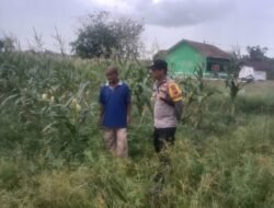 Dukung Program Pemerintah, Polsek Kapuas Barat Cek Ketahanan Pangan di Desa Basuta Raya