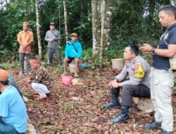 BHABINKAMTIBMAS DESA BALAI RIAM MONITORING PERSIAPAN LAHAN JAGUNG DUKUNG PROGRAM KETAHANAN PANGAN