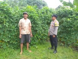 Dukung Ketahanan Pangan, Polsek Kapuas Barat Cek Budidaya Kacang Panjang di Desa Sei Kayu