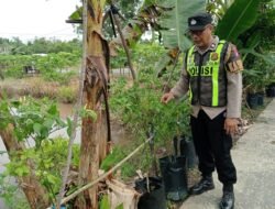 Dukung Ketahanan Pangan, Polsek Kapuas Barat Cek Budidaya Ikan Air Tawar di Mandomai