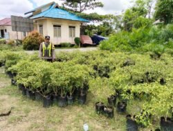 Dukung Ketahanan Pangan, Polsek Kapuas Barat Cek Budidaya Cabai Pedas di Mandomai