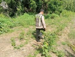 Tingkatkan Ketahanan Pangan Desa, Personil Polsek Kapuas Barat Ajak Masyarakat Manfaatkan Lahan