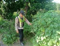 Polsek Kapuas Barat Dukung Program Pemerinta Tentang Ketahanan Pangan