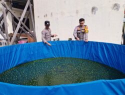 KAPOLSEK HANAU CEK BUDIDAYA IKAN LELE, DUKUNG PROGRAM KETAHANAN PANGAN