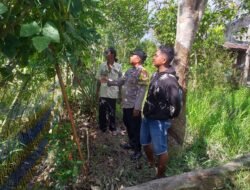 Dukung Ketahanan Pangan, Bhabinkamtibmas Polsek Kapuas Barat Cek Budidaya Kacang Panjang di Desa Sei Kayu