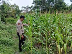 Dukung Ketahanan Pangan, Polsek Kapuas Barat Ajak Masyarakat Untuk Memanfaatkan Lahan Pekarangan Rumah