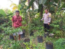 Ketahanan Pangan Desa Sei Kayu: Bhabinkamtibmas Polsek Kapuas Barat Dampingi Budidaya Cabai Pedas di RT 007