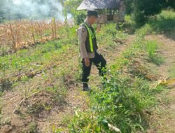 Polsek Kapuas Barat Tinjau Lahan PertanianDi Desa Binaanya, Guna Dukung Ketahanan Pangan