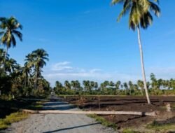 Kebun Awaya PTPN I, Subholding Perkebunan Nusantara Berstatus HGU Sah dan Berkekuatan Hukum