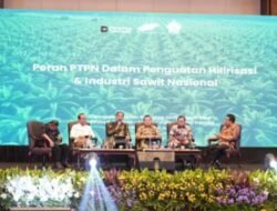 Holding Perkebunan Nusantara Dorong Hilirisasi Sawit, PalmCo Serap 6,8 Juta Bibit Bersertifikat