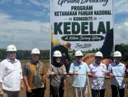 PTPN IV PalmCo Matangkan Pilot Project Kedelai Dukung Percepatan Swasembada Pangan Nasional