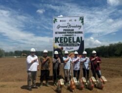 PTPN IV PalmCo Matangkan Pilot Project Kedelai Dukung Percepatan Swasembada Pangan Nasional