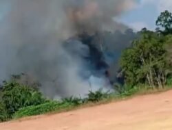BREAKING NEWS:Karhutla Kembali Terjadi di Sanggau, Asap Hitam Membumbung di Kawasan Hutan dan Lahan Balai Blungai