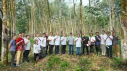 Optimalkan Kinerja Kebun dan Pabrik, Tim Operational Strategic Advisory PTPN III (Persero) Lakukan Kunjungan ke PTPN I Regional 7