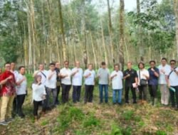 Optimalkan Kinerja Kebun dan Pabrik, Tim Operational Strategic Advisory PTPN III (Persero) Lakukan Kunjungan ke PTPN I Regional 7