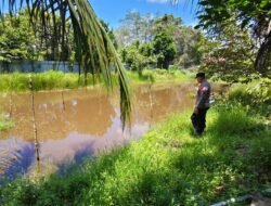 Program Ketahanan Pangan Di Desa, Polmas Ajak Masyarakat Untuk Memanfaatkan Lahan Pekarangan