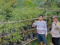 Polsek Kapuas Barat Pastikan Ketahanan Pangan Sektor Pertanian Mandomai Berjalan Optimal