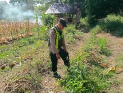 Dukung Ketahanan Pangan, Piket SPKT 1 Polsek Kapuas Barat Cek Pekarangan Cabai di Desa Saka Mangkahai