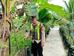 Dalam Pemenuhan Ketahanan Pangan, Personil Polsek Kapuas Barat Ajak Masyarakat Bertanam Sayur