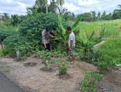 Dukung Ketahanan Pangan Nasional, Polsek Kahayan Kuala Sambangi Petani Cabai di Sebangau Jaya