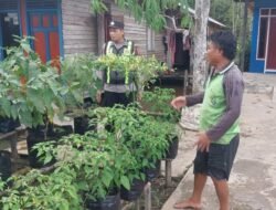 Dukung Program Ketahanan Pangan Nasional, Polsek Kapuas Barat Cek Lahan Pertanian di Kelurahan Mandomai