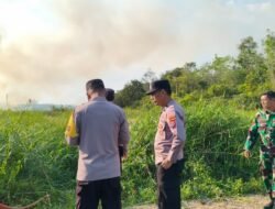 Sinergi TNI, Polri, dan Warga Padamkan Kebakaran Lahan di Tabalong