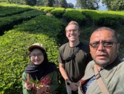 Holding Perkebunan Nusantara Dorong Promosi Global, Kebun Rancabali PTPN I Jadi Sorotan Media Amerika Serikat