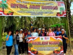 Gelar Ritual Adat Ngudas, PTPN IV Regional V Awali Replanting di Kebun Kembayan