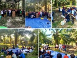 Holding Perkebunan Nusantara Tingkatkan Efisiensi Operasional Melalui Field Day Panen Bersih PTPN IV Regional V