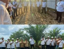 Operation Head I PTPN IV Regional V Dorong Akselerasi Produktivitas Melalui Kunjungan ke Kebun Tabara