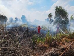 Berjibaku Padamkan Api, Personel Kodim 1009/Tanah Laut Bersama Instansi Terkait Berupaya Jinakkan Karhutla